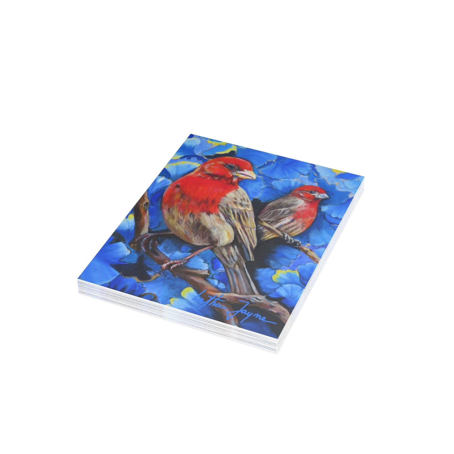 Finches Postcard Bundles (envelopes included)