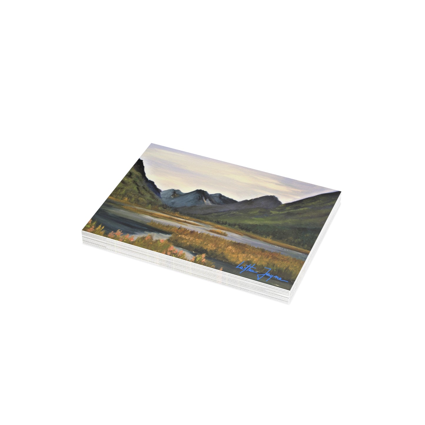 Tern Lake Postcard Bundles (envelopes included)