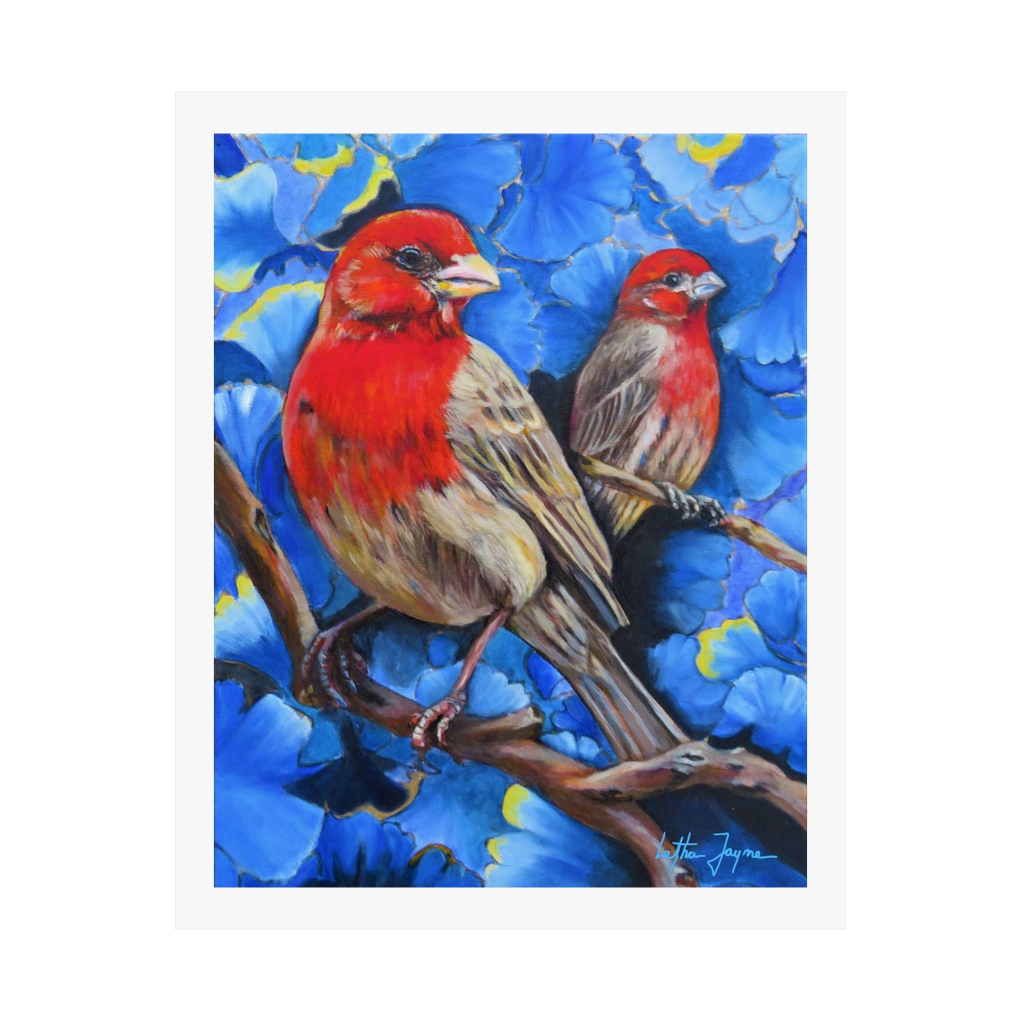 Finches Fine Art Print