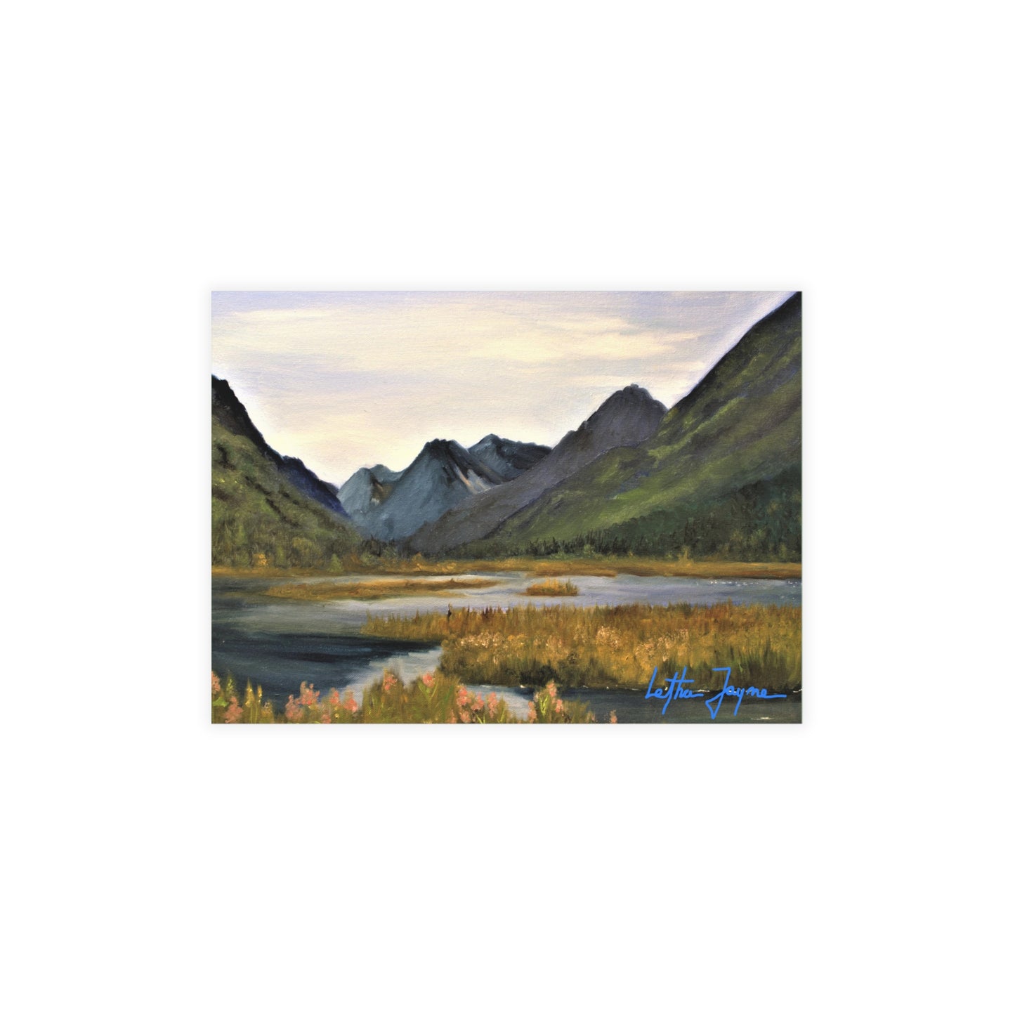 Tern Lake Postcard Bundles (envelopes included)