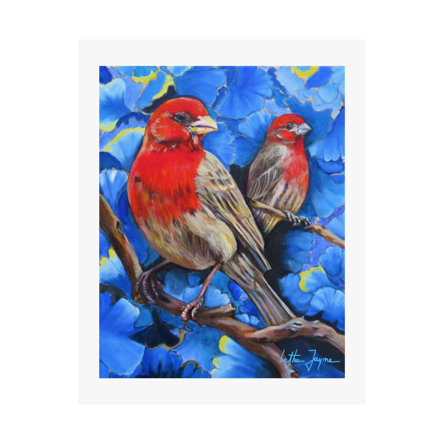 Finches Fine Art Print