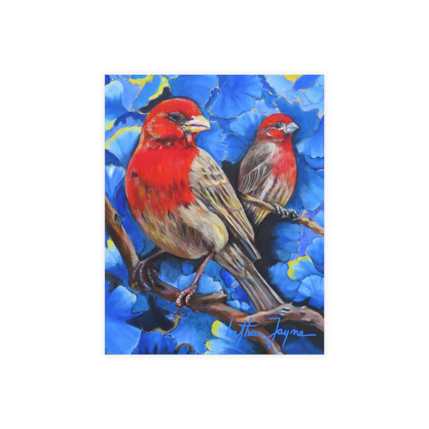 Finches Postcard Bundles (envelopes included)