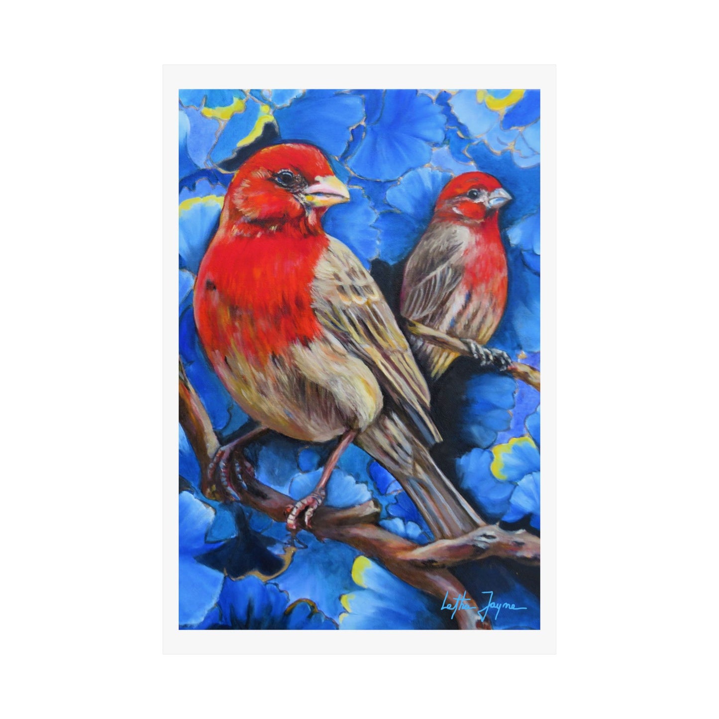 Finches Fine Art Print