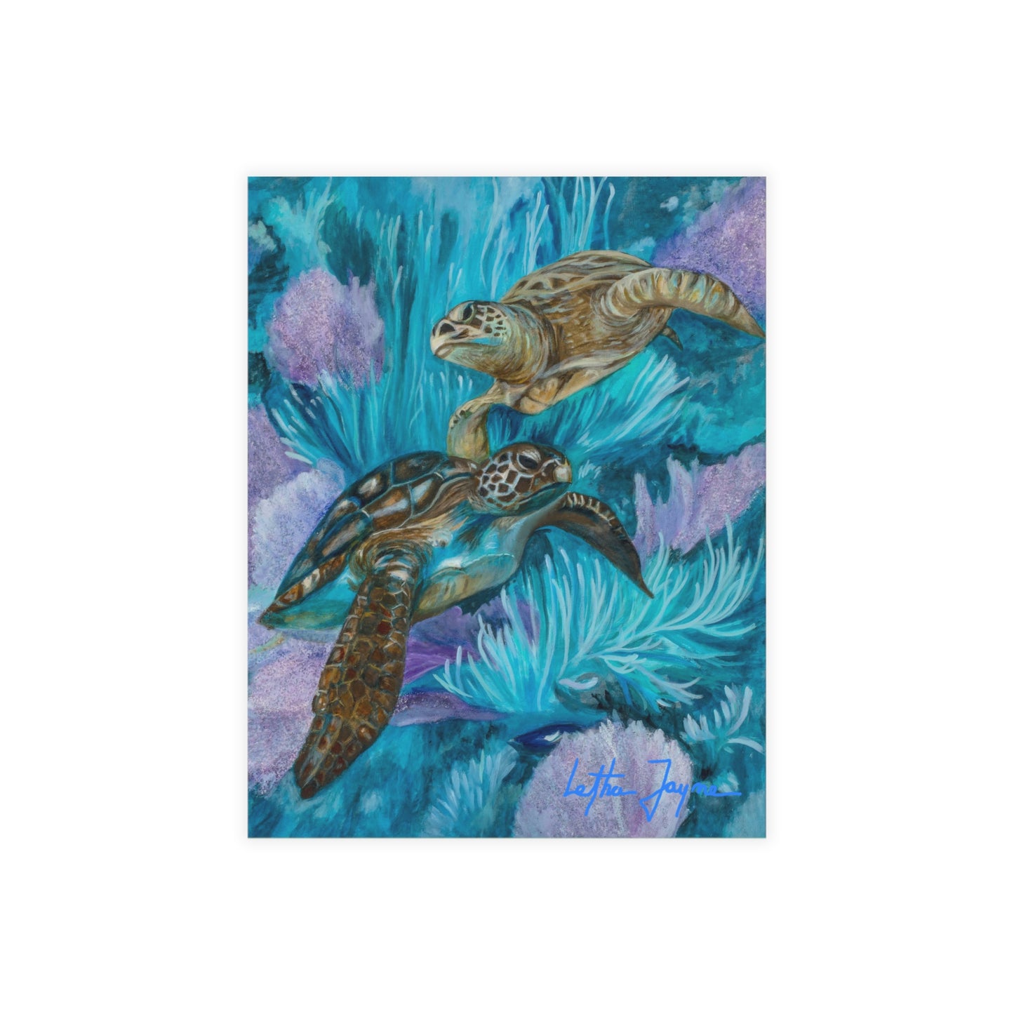 Sea Turtle Boogie Postcard Bundles (envelopes included)