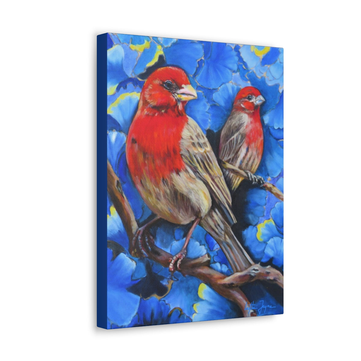 Finches Fine Art Print