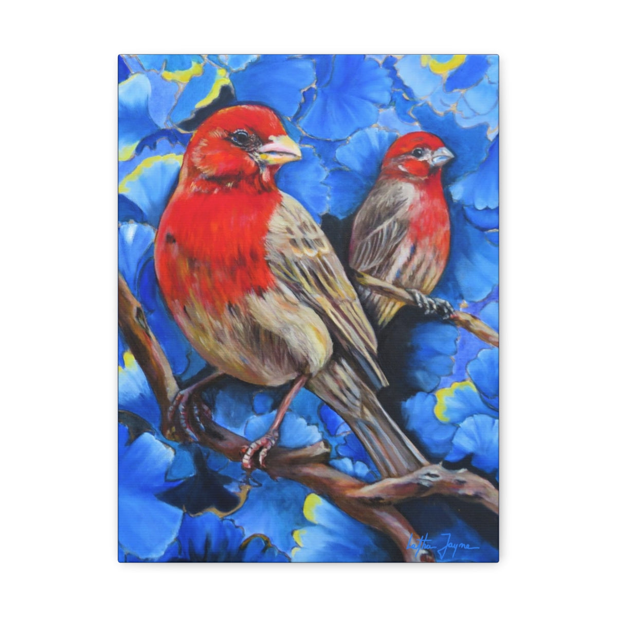 Finches Fine Art Print