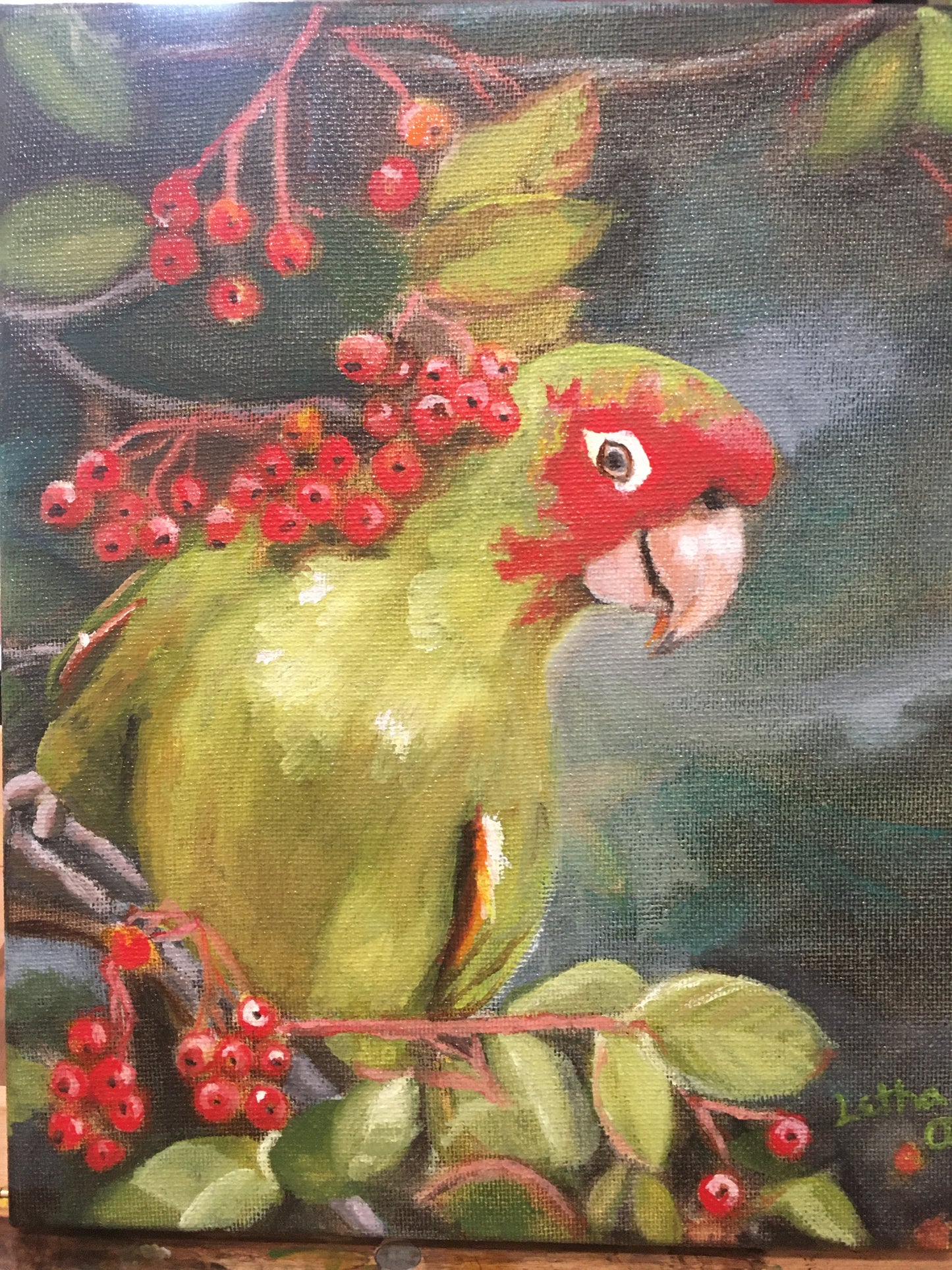 Parrot (Sold)