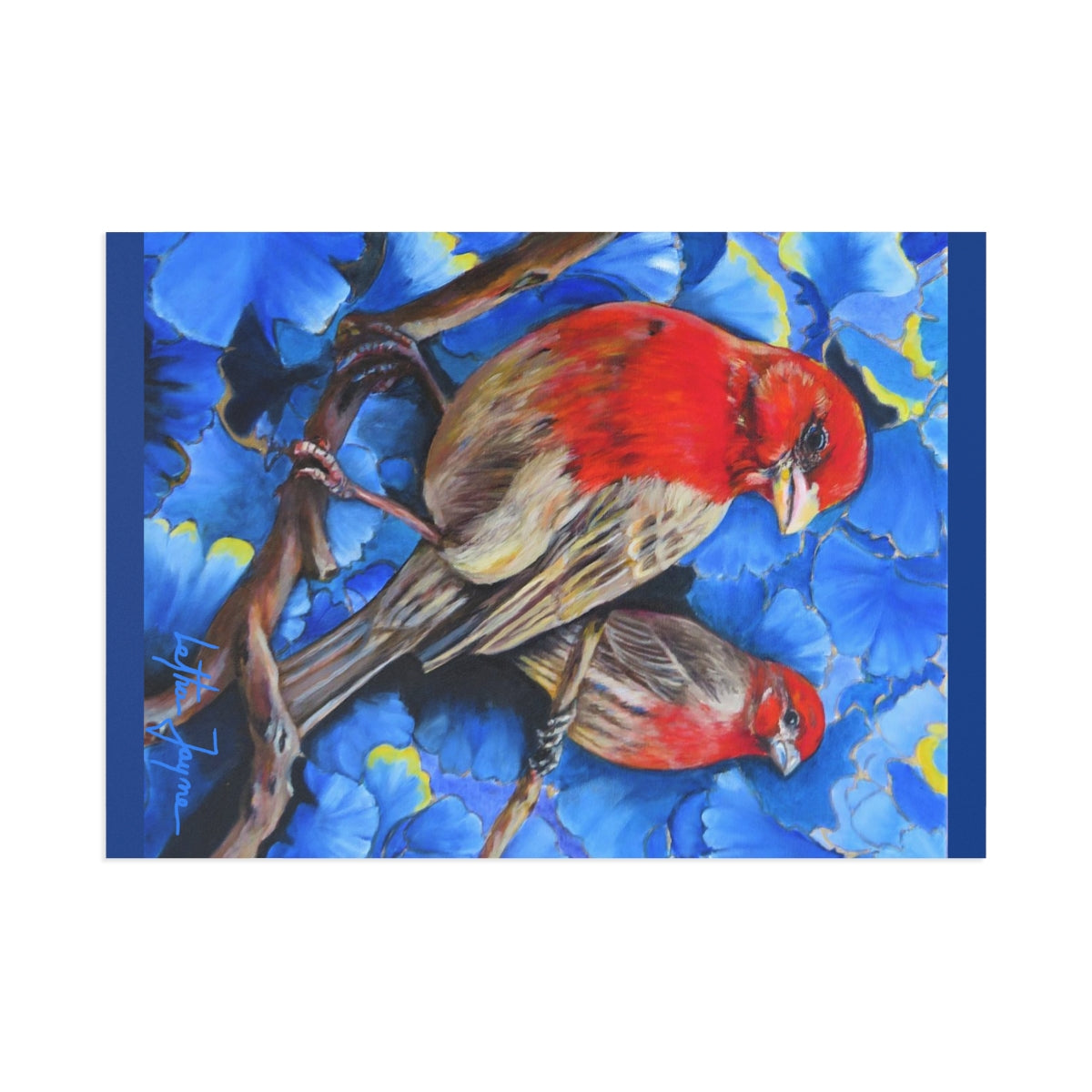 Finches Fine Art Postcards